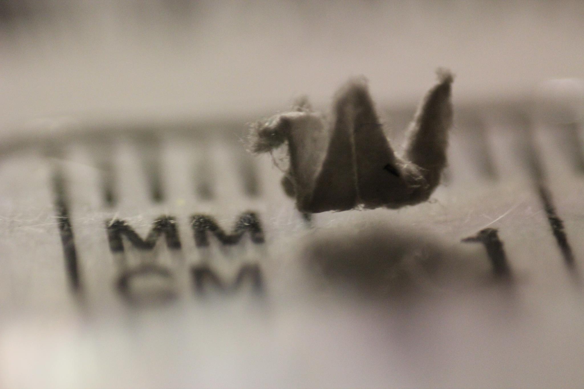 Tiny paper crane on ruler