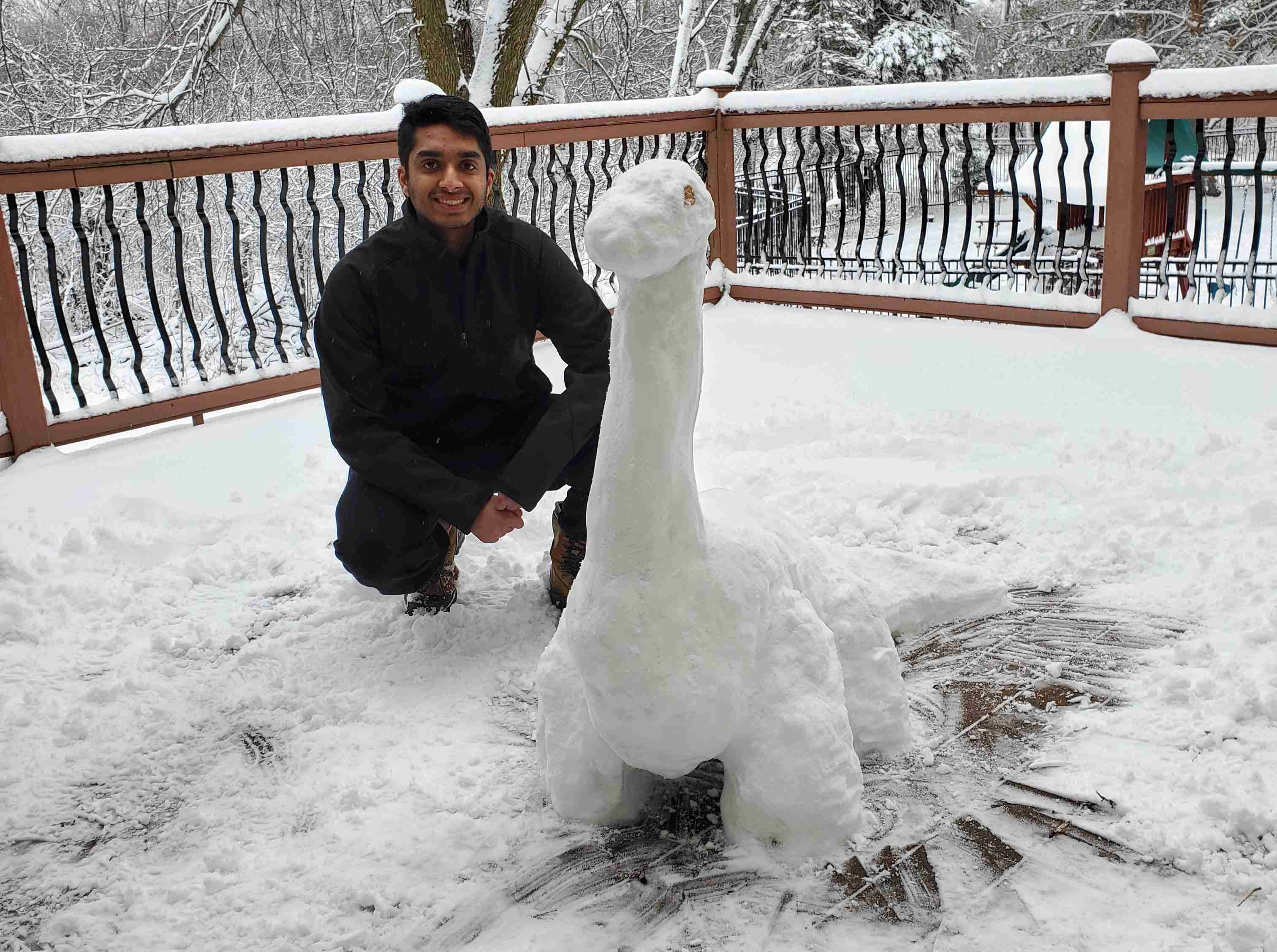 Snow sculpture of dinosaur with me for scale